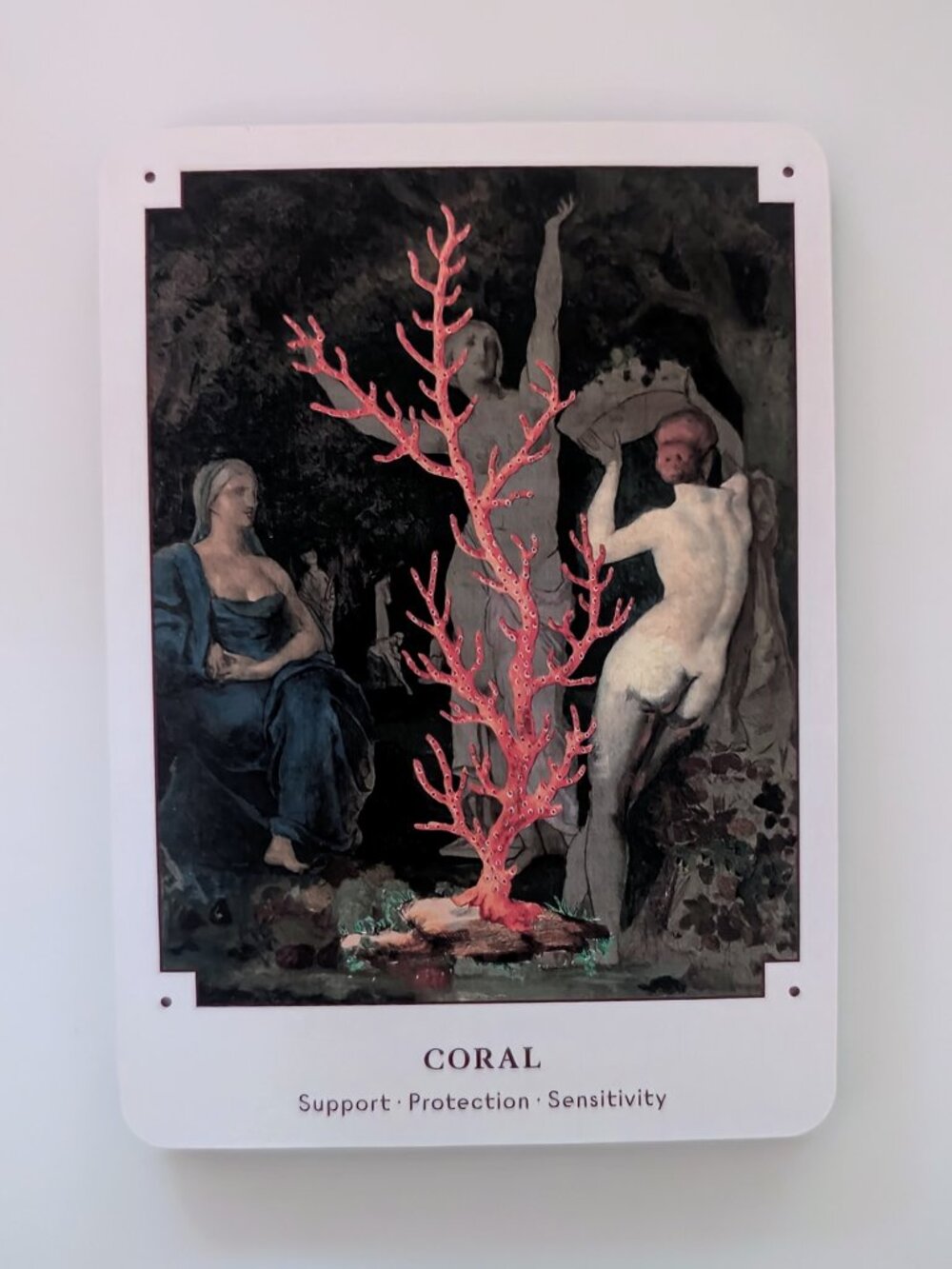 Seashell Oracle π - Picture 6 of 7